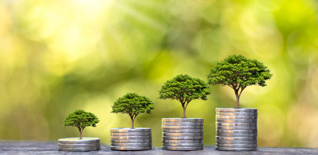 Maximize Your Income