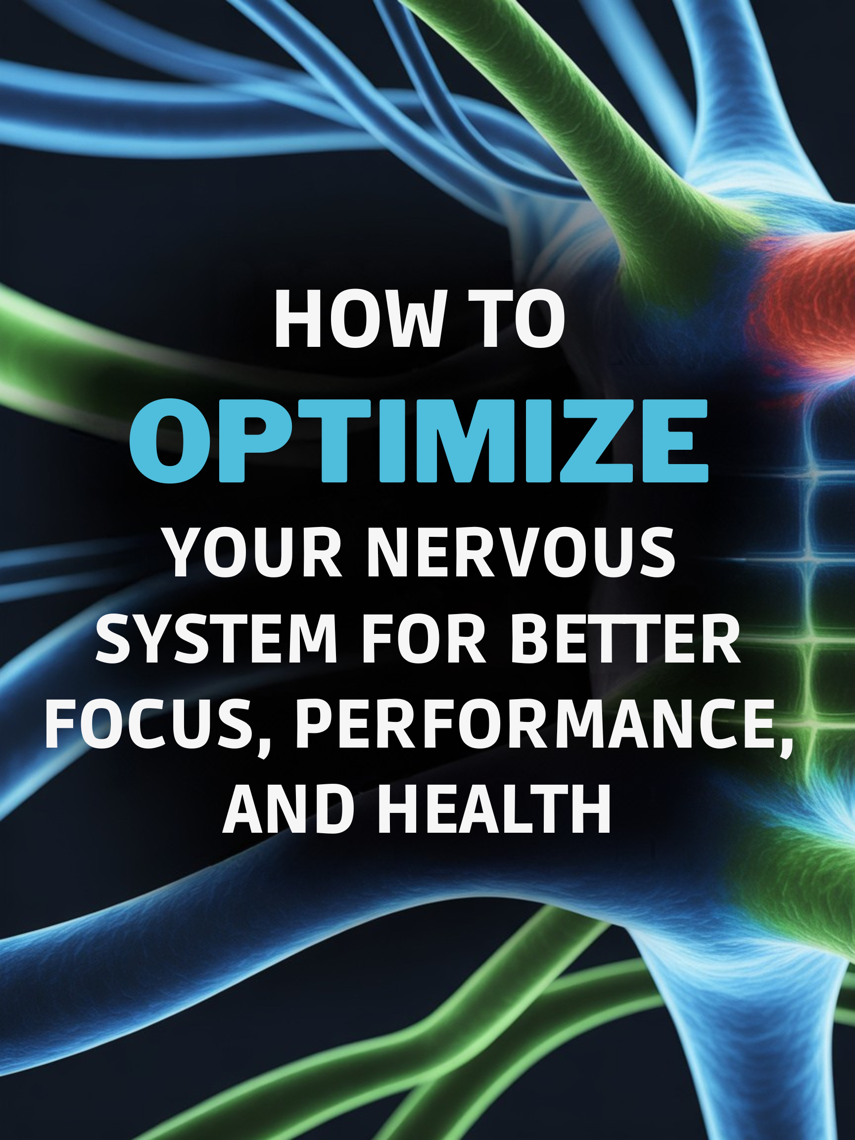 How to Optimize Your Nervous System for Better Focus, Performance, and&nbsp;Health