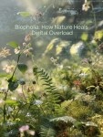 Biophilia: How Nature Heals Digital&nbsp;Overload
